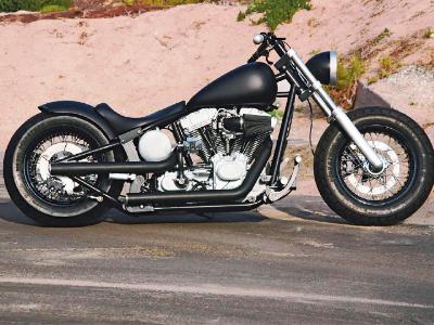 2003 Harley Softail From The Archives