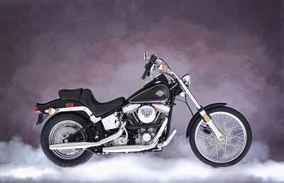 Three Decades of Softail