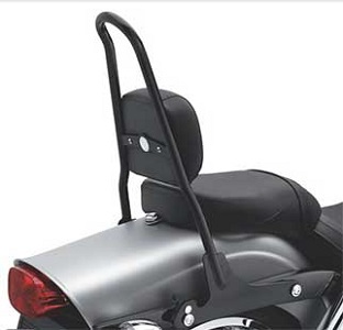 One-Piece Harley-Davidson Detachable Sissy Bar