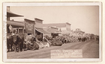 Sturgis Rally History