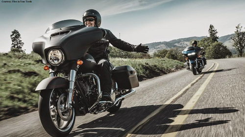 Essential Things to Look for in a Ridding Buddy