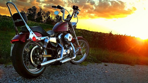 Shady Businessman Goes to Extremes to Own a Harley