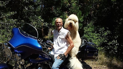 Riding And Health