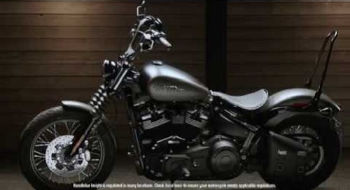 One-Piece Tall Rigid Mount Sissy Bar