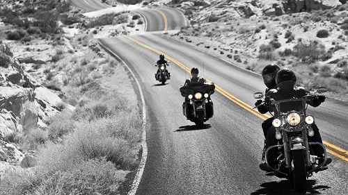 Some of the Best Rides Down Mexico Way